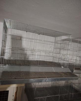 gabbia zincata 60 cm