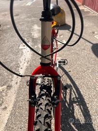 MOUNTAIN BIKE SHADOW BY MASCIAGHI, made in Italy