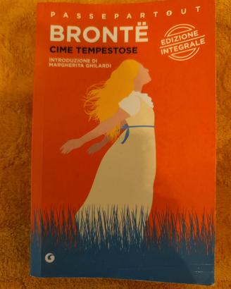 Libro "Cime tempestose" di' Emily Brontë