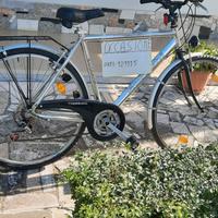 Bici uomo Sport