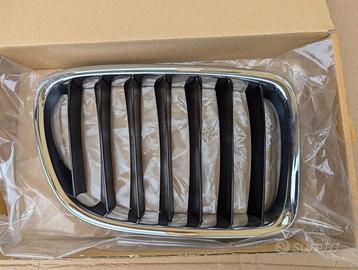Coppia GRIGLIA radiatore cofano anteriore BMW vari
