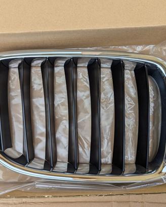 Coppia GRIGLIA radiatore cofano anteriore BMW vari