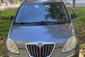 Lancia musa