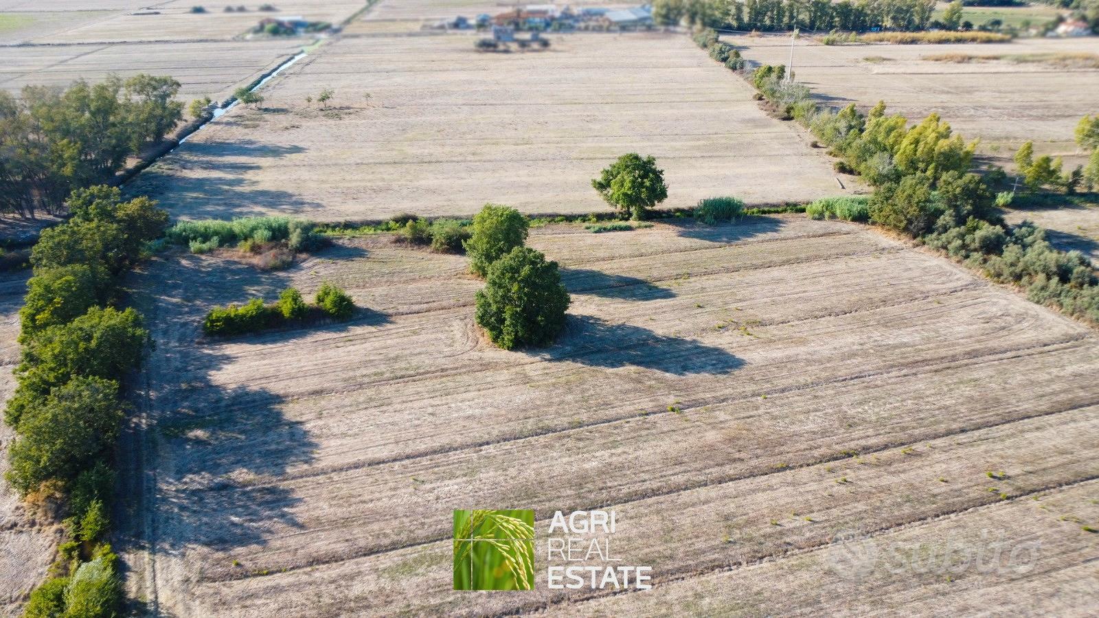 Terreno agricolo 3 ettari per foraggi e zootecnia - Vista 3