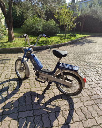 Garelli eureka Flex