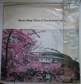 vinile Echo &the bunnymen