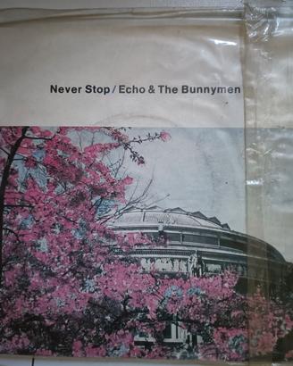 vinile Echo &the bunnymen