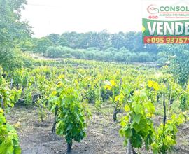 Terreno agricolo con fabbricato a Linguaglossa