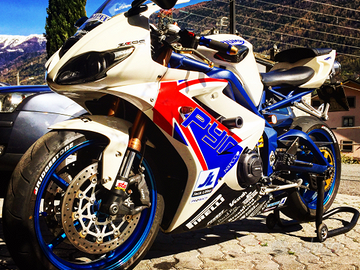 Triumph daytona 675 S.E