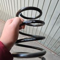 Molle Eibach Pro-Kit Audi TT 8S FV ribassate