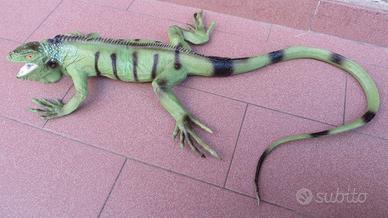lucertola iguana di gomma 77 cm