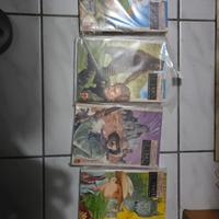 fumetti Seton