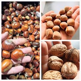 Frutta secca Sibillini Noci Nocciole Castagne bio 