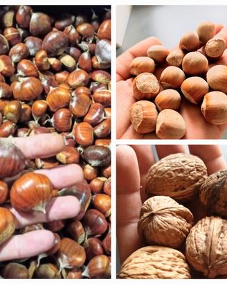 Frutta secca Sibillini Noci Nocciole Castagne bio 