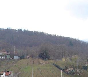 Terreno con progetto approvato