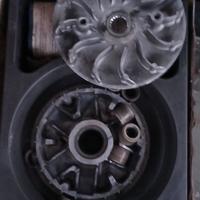 variatore polini