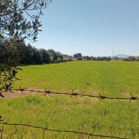 Terreno di oltre un ettaro