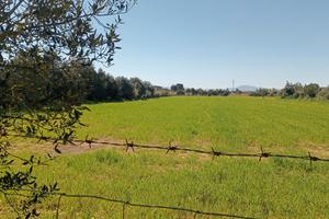 Terreno di oltre un ettaro