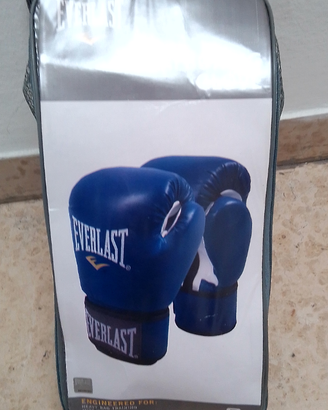 Guantoni Everlast e paratibie