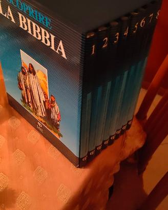 La Sbibbia!