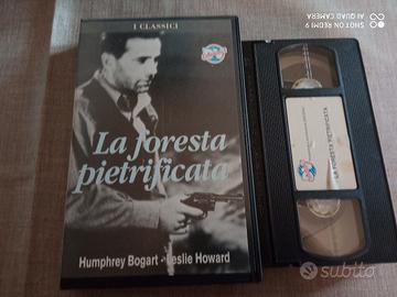 VHS  LA FORESTA PIETRIFICATA 