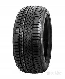 GOMME INVERNALI 225/45 R17 94 V SUNNY - WINTERMAX