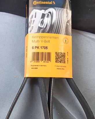 Cinghia Poly V Ford  Fiesta/Fusion (6PK 1705)