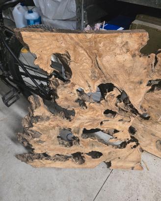 tavole legno ulivo