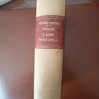 Trattato teorico-pratico del Possesso e...