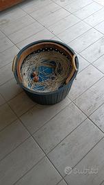 Palamito x saraghi, orate