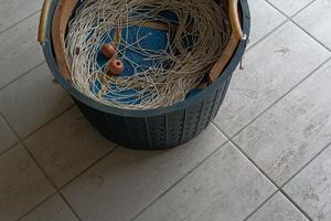 Palamito x saraghi, orate