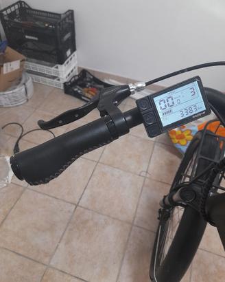 bici elettrica