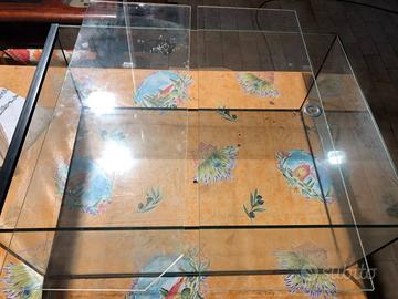 ACQUARIO VASCA VETRO CM.60X43X25 H PER TARTARUGHE