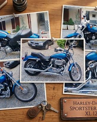 Harley Davidson Sportster Custom XL 1200 del 2007