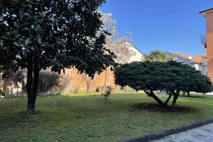 Rif.2460RA79071| appartamento trilocale