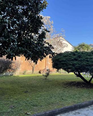 Rif.2460RA79071| appartamento trilocale