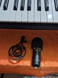 microfono BM 800 + supporto 