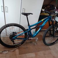 Ibis Ripmo 29 Carbonio
