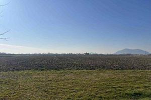 Immobile in asta di 20379 m² a Due Carrare