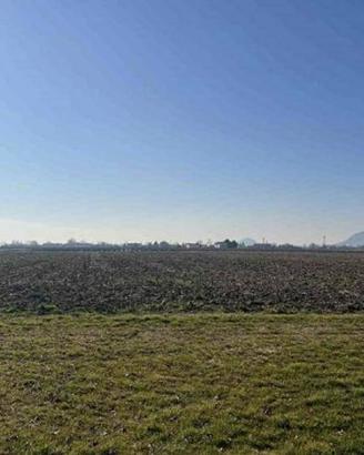 Immobile in asta di 20379 m² a Due Carrare