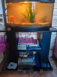 acquario completo con pesci e accessori