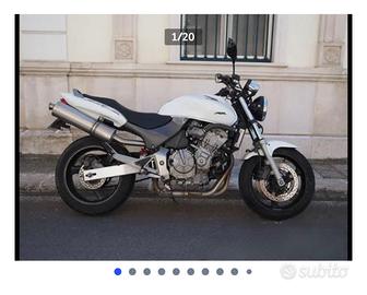 Honda Hornet