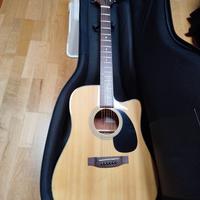 Chitarra Takamine G Series