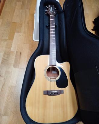 Chitarra Takamine G Series