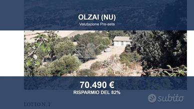 Immobile in asta di 454059 m² a Olzai