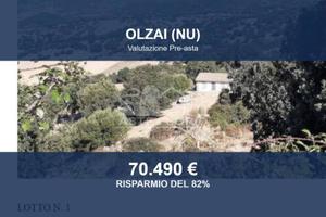 Immobile in asta di 454059 m² a Olzai