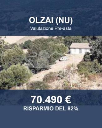 Immobile in asta di 454059 m² a Olzai