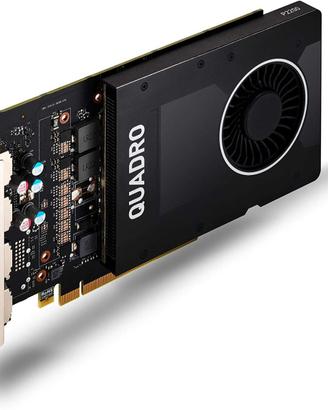 Scheda grafica Nvidia Quadro P2200 5 GB GDDR5