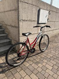 Mountain Bike / Bici da Città