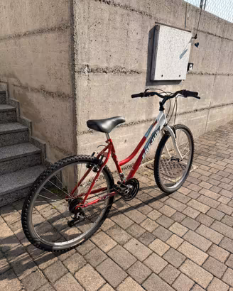 Mountain Bike / Bici da Città
